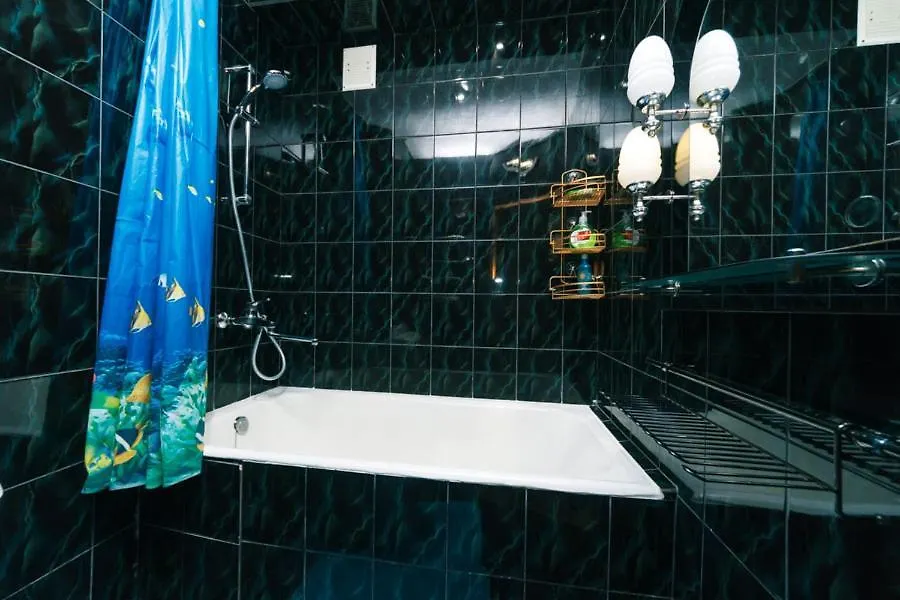 Apartman 1 Комнатная Квартира М Васильковская Газ И Низкий Этаж Kijev Ukrajna